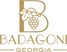 Badagoni