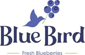 Blue Bird